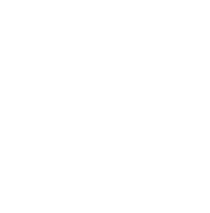 Logo Metadrone